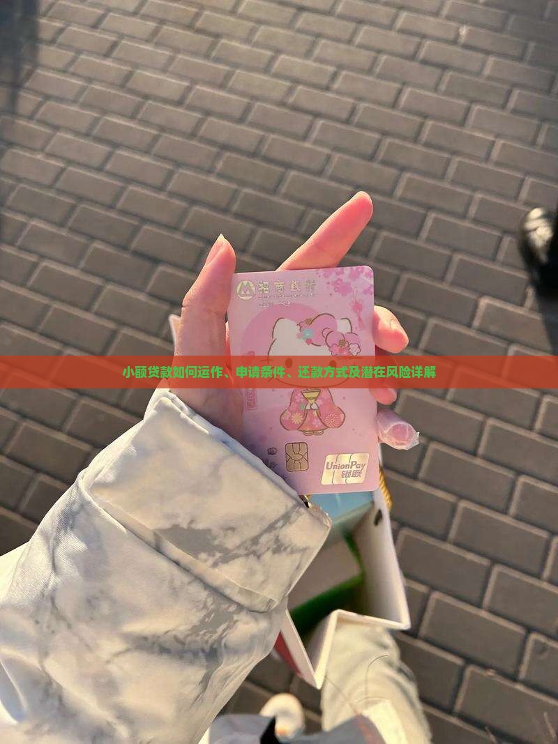 小额贷款具体做什么