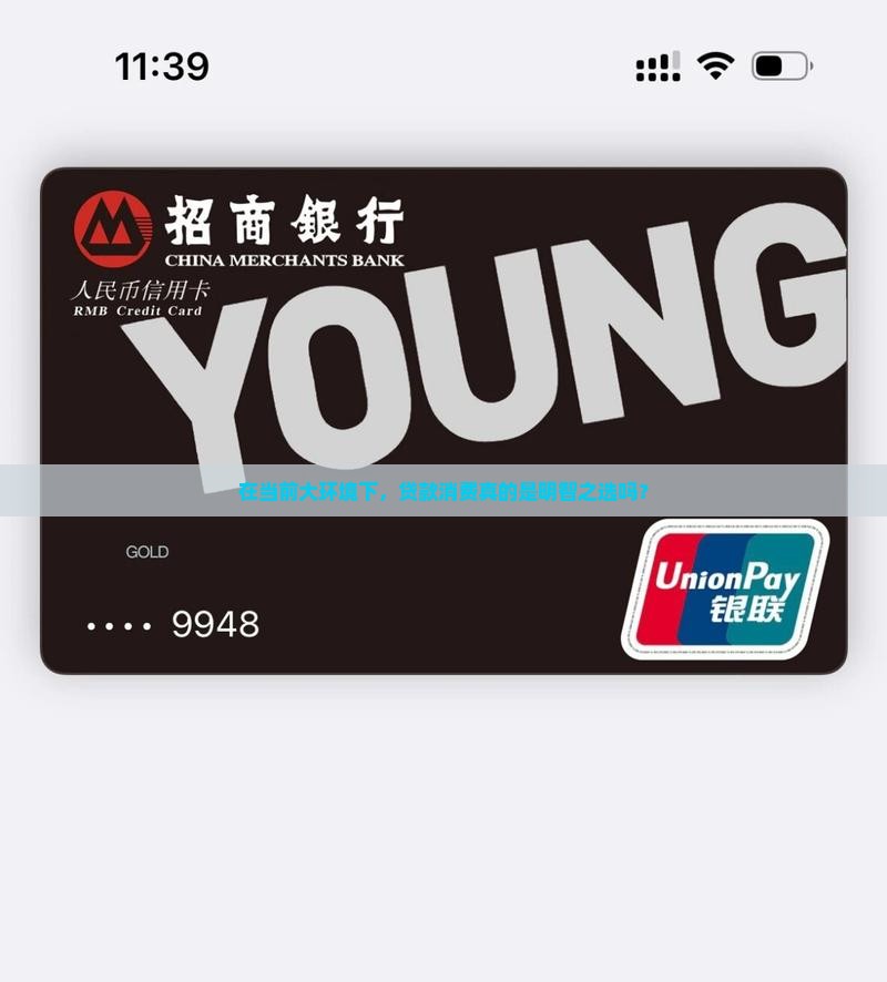 大环境下的贷款消费