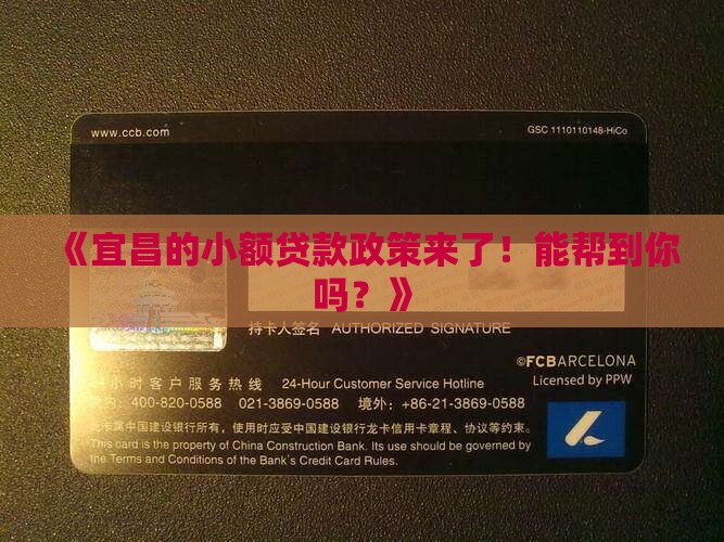 宜昌市小额贷款政策