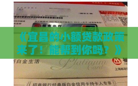 宜昌市小额贷款政策