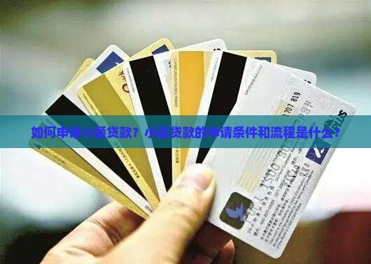 怎么使用小额贷款