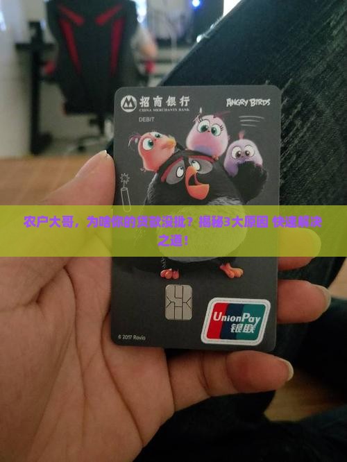 农投顺通小额贷款资金方