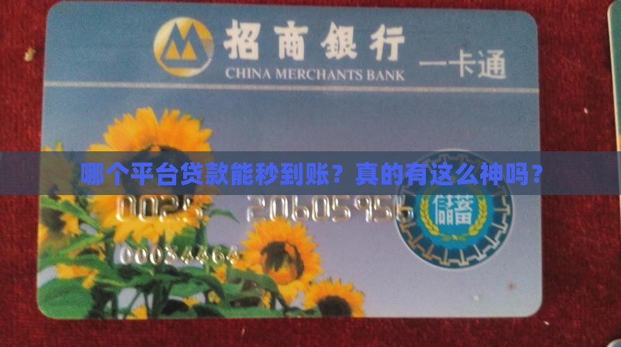 哪个平台贷款秒到账快