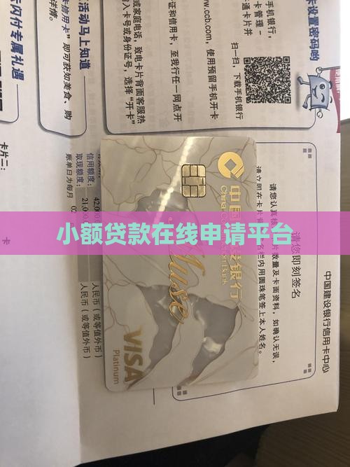 小额贷款在线申请的平台