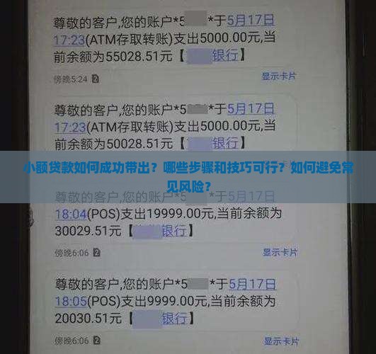 小额贷款他咋带出来的