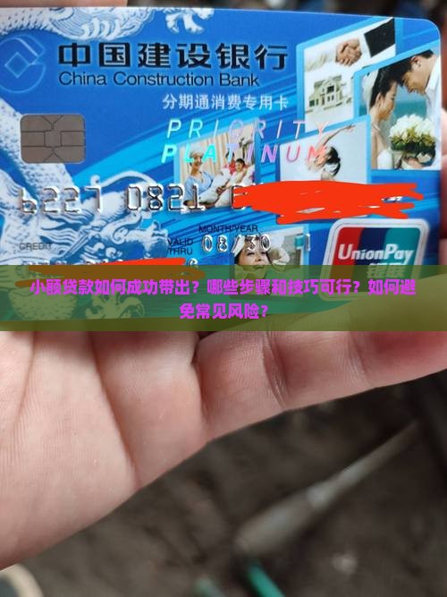 小额贷款他咋带出来的