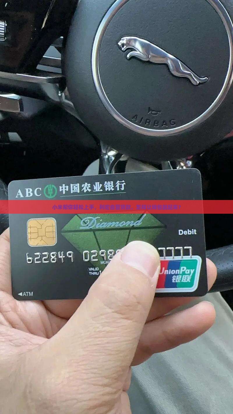 小米利宏自营贷款平台