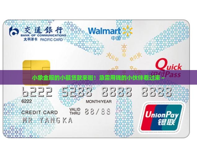 小象金服小额贷款
