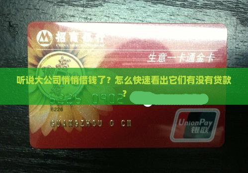 如何看名公司有没有贷款