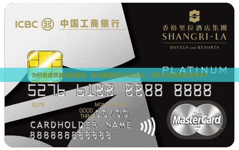 怎么各种贷款都贷不了款