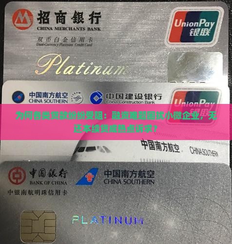 怎么各种贷款都贷不了款