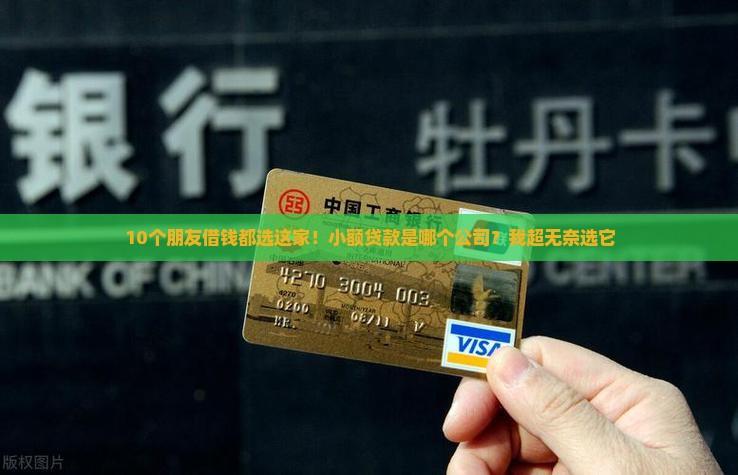 小额贷款是哪个公司