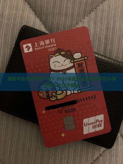 哪家平台贷款好贷一点