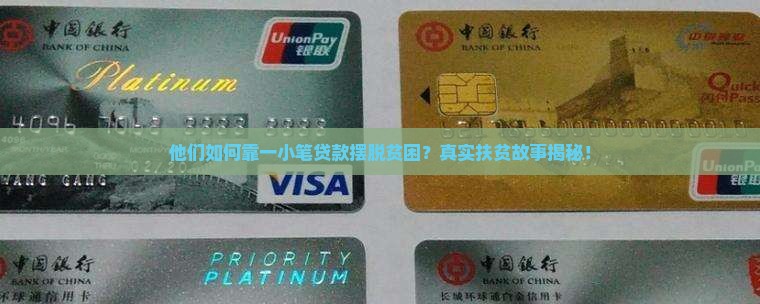 发放扶贫小额贷款案例