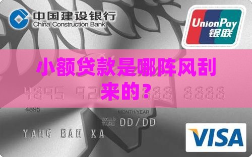 小额贷款什么时候被引进