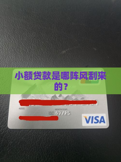 小额贷款什么时候被引进