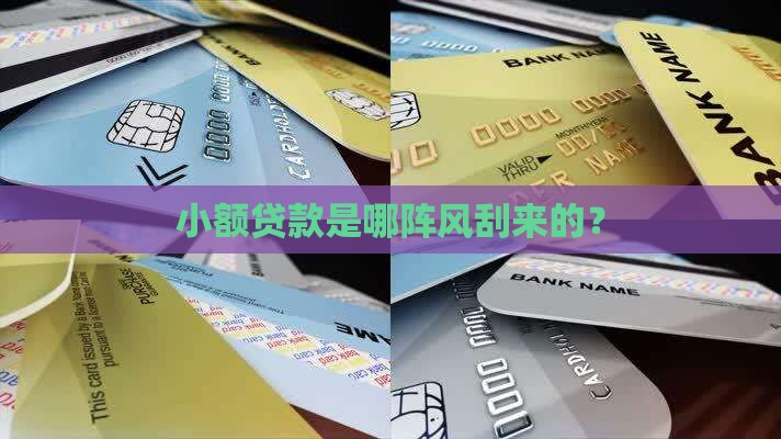 小额贷款什么时候被引进