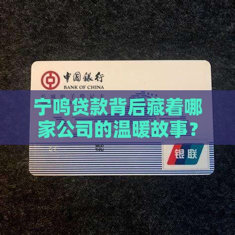 宁鸣贷款是什么平台的公司