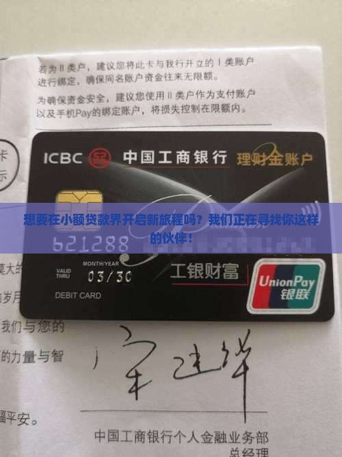 小额贷款平台招工吗