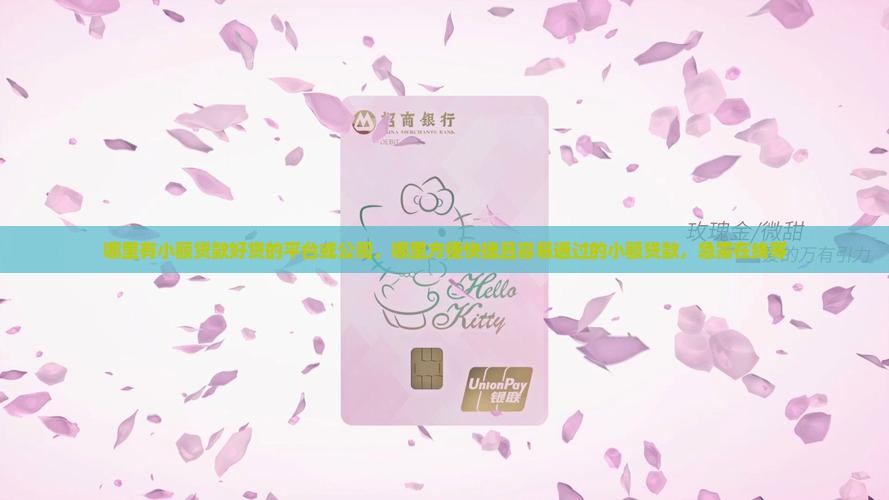 哪里有小额贷款好贷的