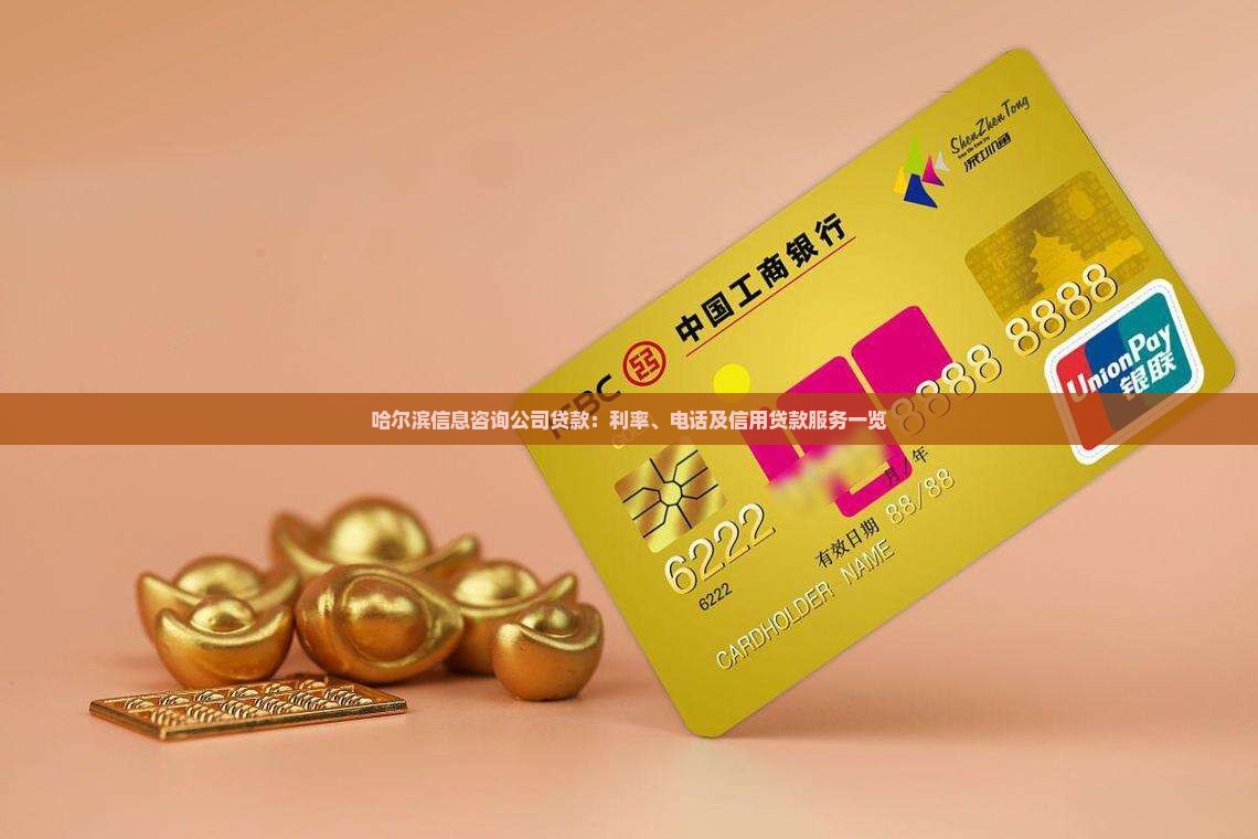 哈尔滨信息咨询公司贷款
