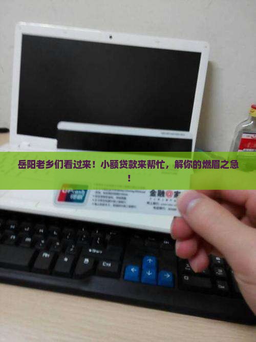 岳阳农民小额贷款