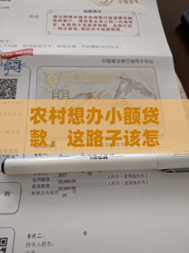 农村有小额贷款怎么办