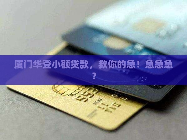 厦门华登小额贷款