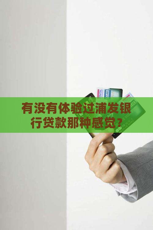 办过浦发银行的贷款吗