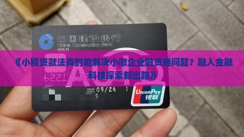 小额贷款法