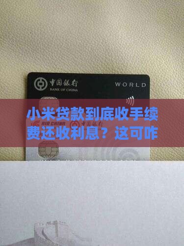 小米贷款有手续费和利息