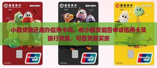 小额贷款还能办信用卡吗