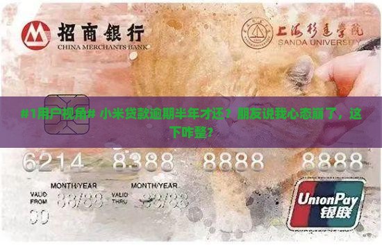 小米贷款逾期半年才还