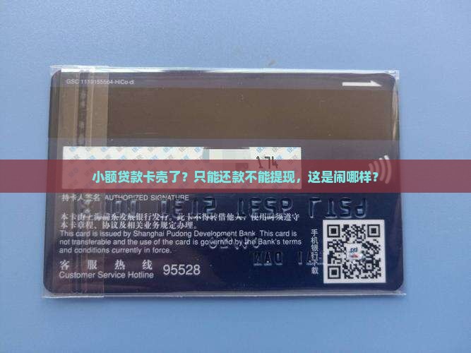 小额贷款只能还不能取