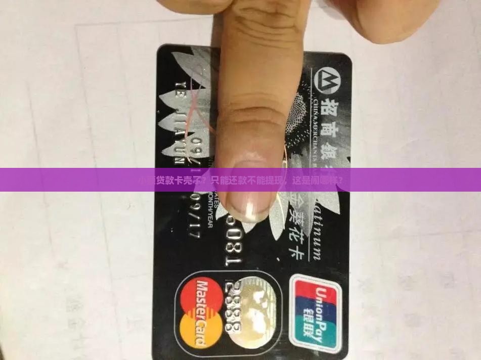 小额贷款只能还不能取