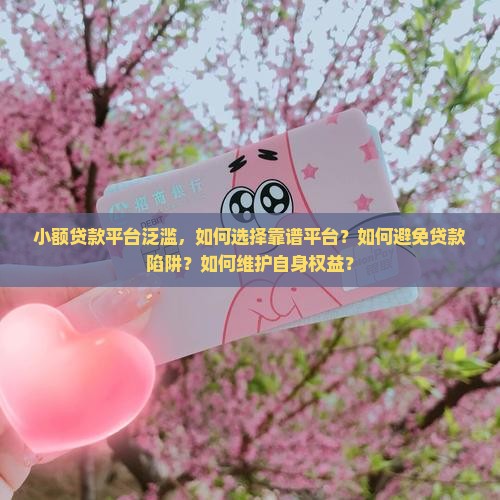 小额贷款平台泛滥