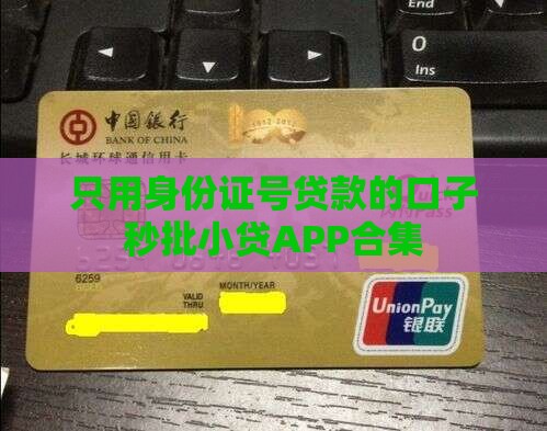 只用身份证号贷款的口子