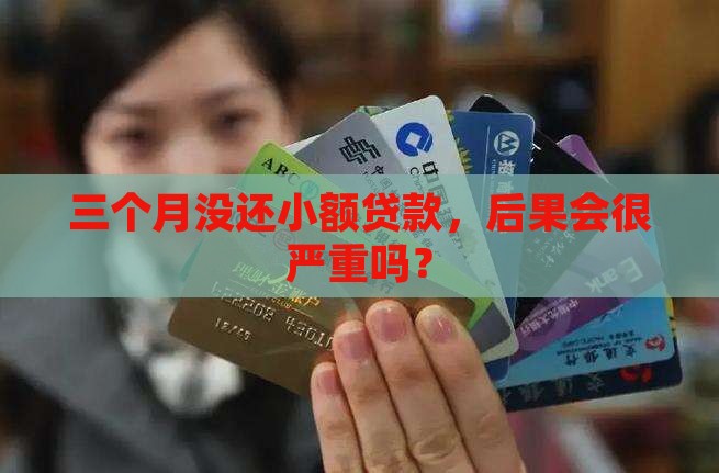 小额贷款三月没还会怎样