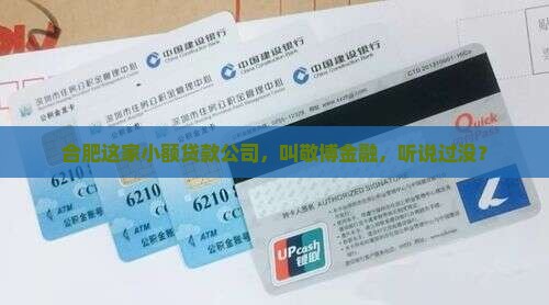 合肥敬博金融小额贷款