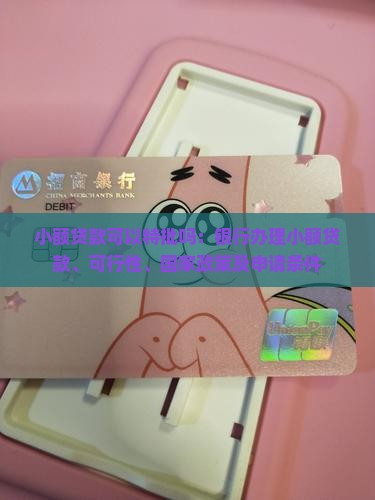 小额贷款可以特批吗