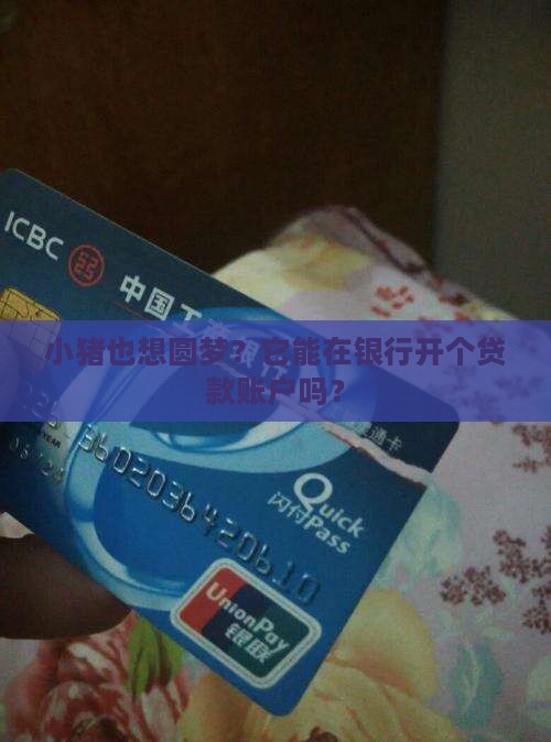 小猪能在银行贷款吗