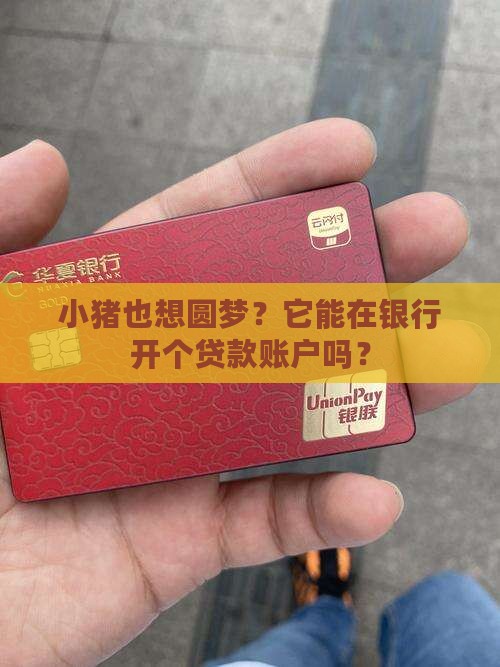 小猪能在银行贷款吗