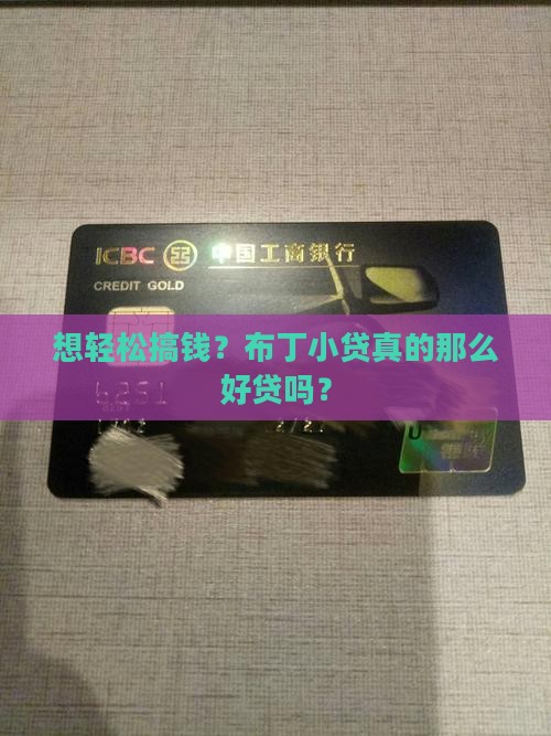 布丁小贷贷款容易吗