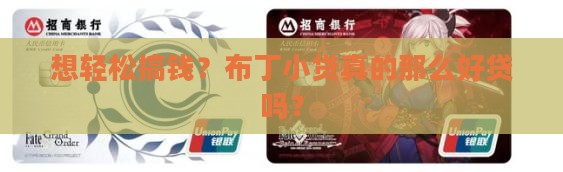布丁小贷贷款容易吗