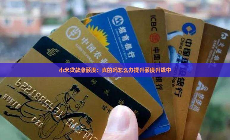小米贷款涨额度 小米贷款涨额度