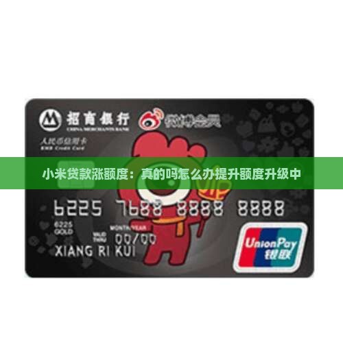 小米贷款涨额度 小米贷款涨额度