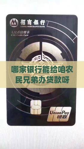 哪个银行可农业贷款