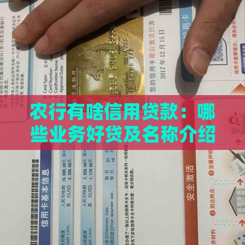农行有啥信用贷款