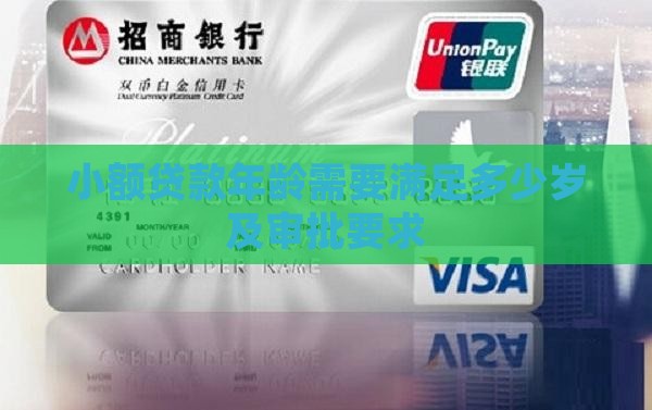 小额贷款年龄需要