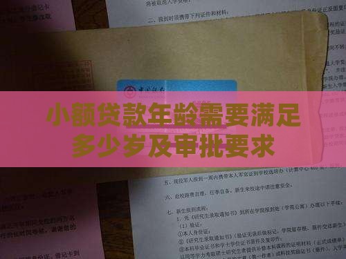 小额贷款年龄需要
